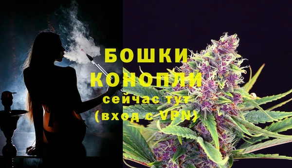 MESCALINE Медвежьегорск