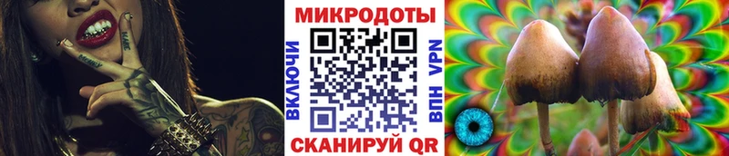 Галлюциногенные грибы Psilocybe  OMG рабочий сайт  Сургут 