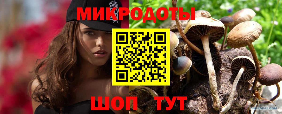 Сургут  Псилоцибиновые грибы Cubensis  Вход с VPN  Псилоцибиновые грибы Cubensis 