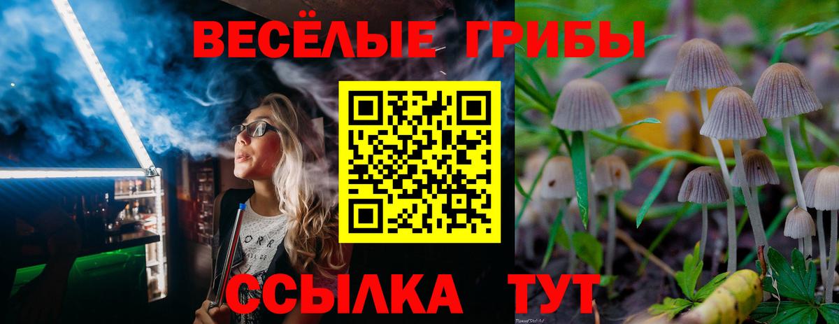 Галлюциногенные грибы ЛСД Сургут
